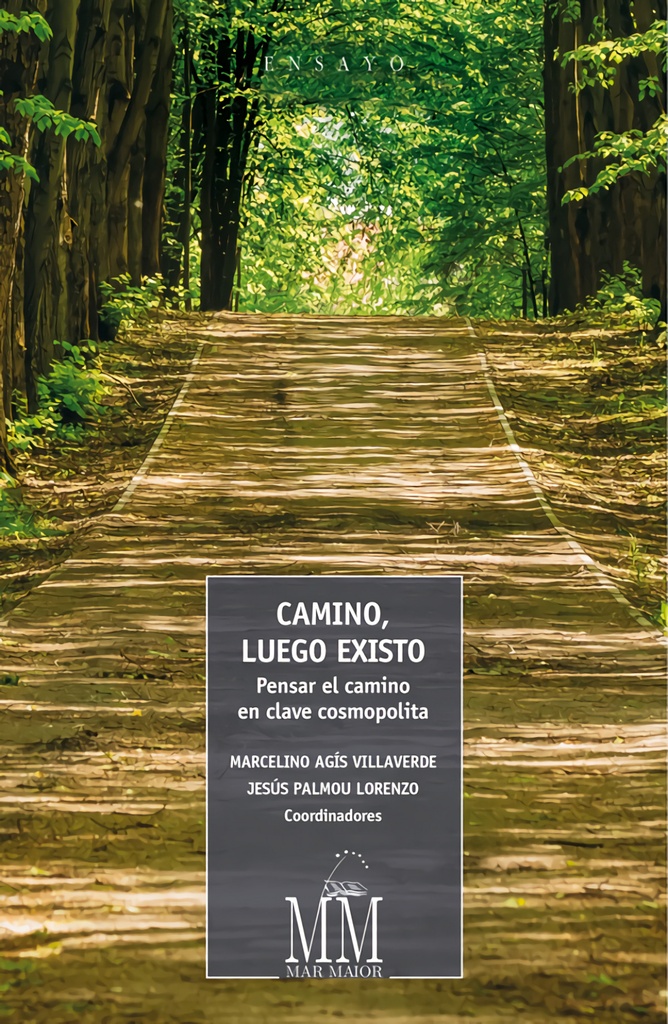 CAMINO, LUEGO EXISTO