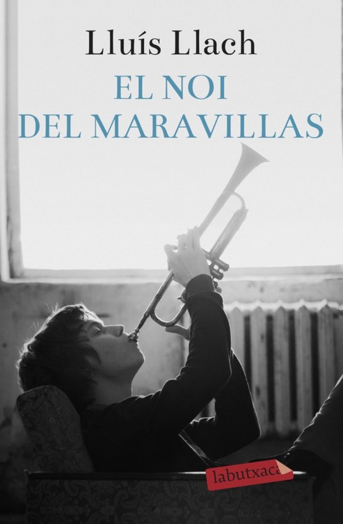 EL NOI DEL MARAVILLAS