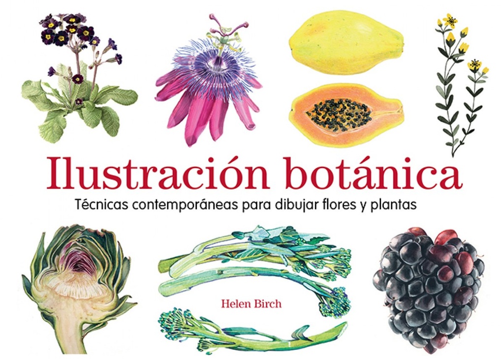 ILUSTRACIÓN BOTÁNICA