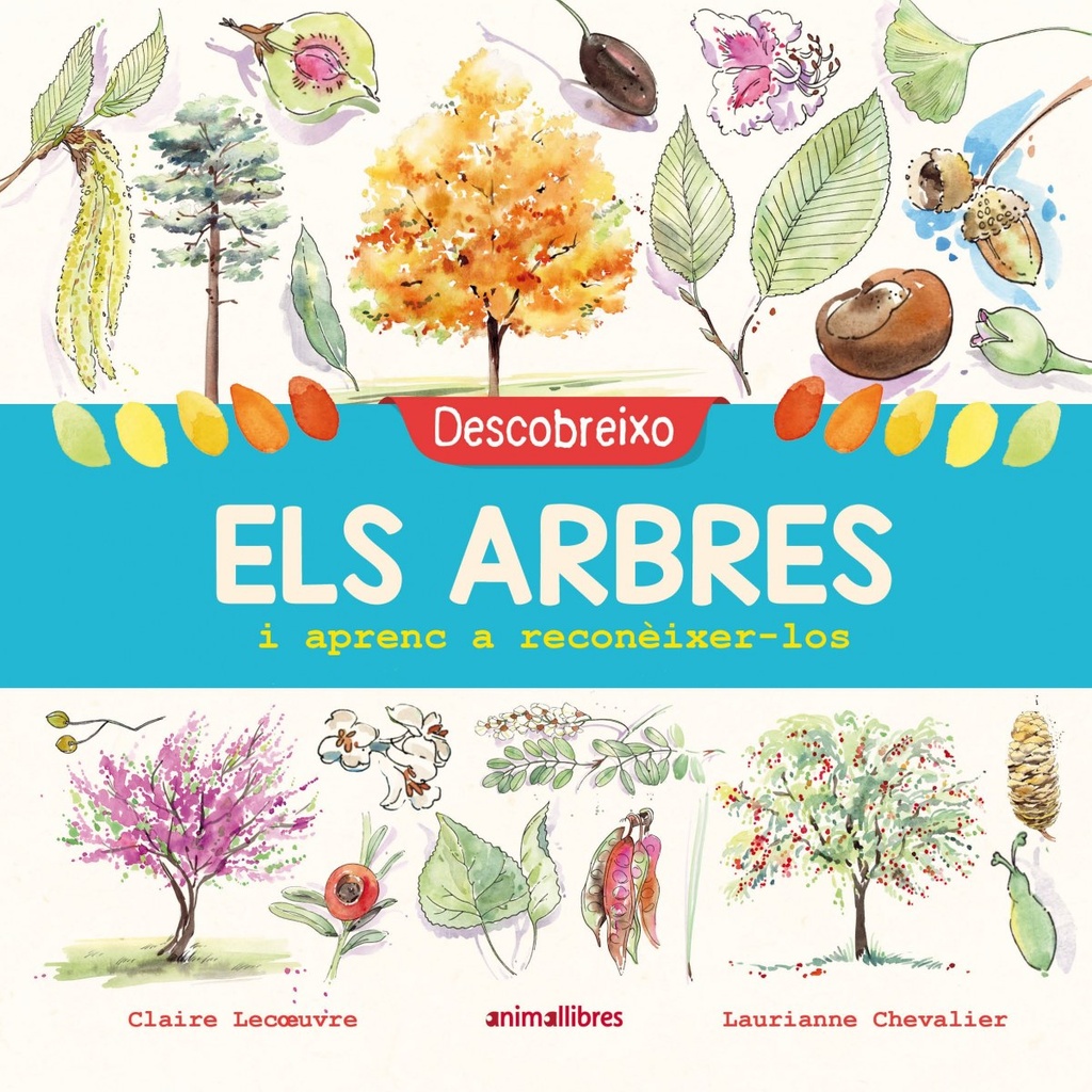 DESCOBREIXO ELS ARBRES I APRENC A RECONÉIXER-LOS