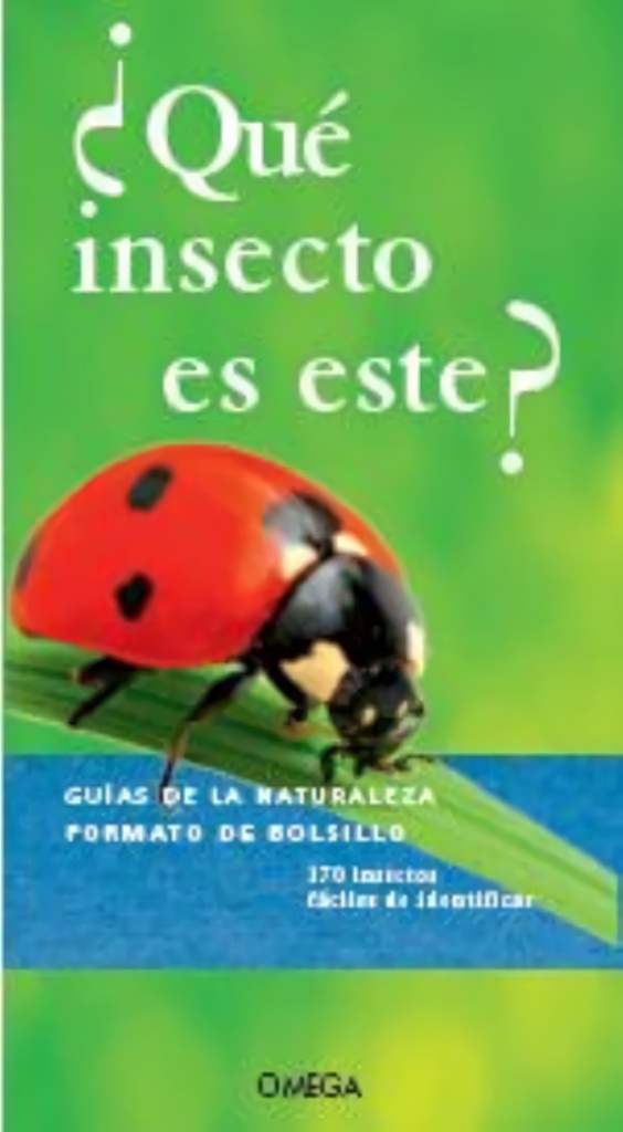 ¿QUÉ INSECTO ES ESTE?