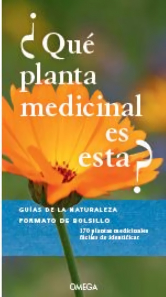 ¿QUÉ PLANTA MEDICINAL ES ESTA?