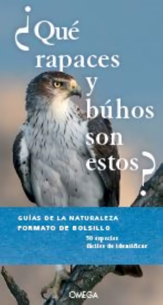 ¿QUÉ RAPACES Y BÚHOS SON ESTOS?