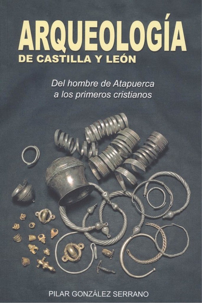 ARQUEOLOGÍA DE CASTILLA Y LEÓN