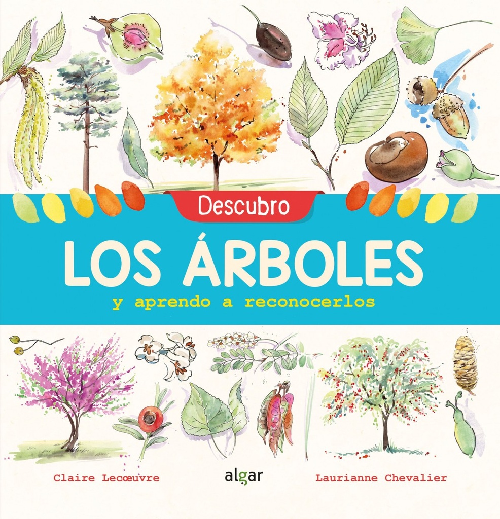 DESCUBRO LOS ÁRBOLES Y APRENDO A RECONOCERLOS