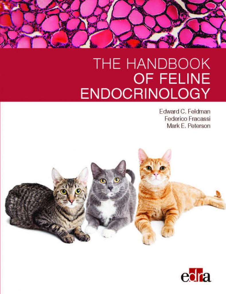 FELINE ENDOCRINOLOGY