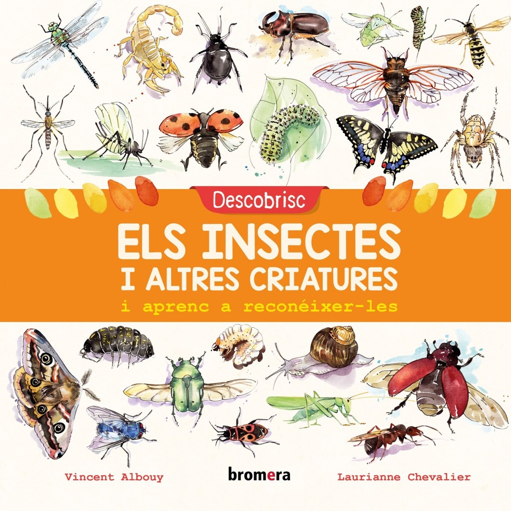 DESCOBRISC ELS INSECTES I ALTRES CRIATURES I APRENC A RECONÉIXER-LES