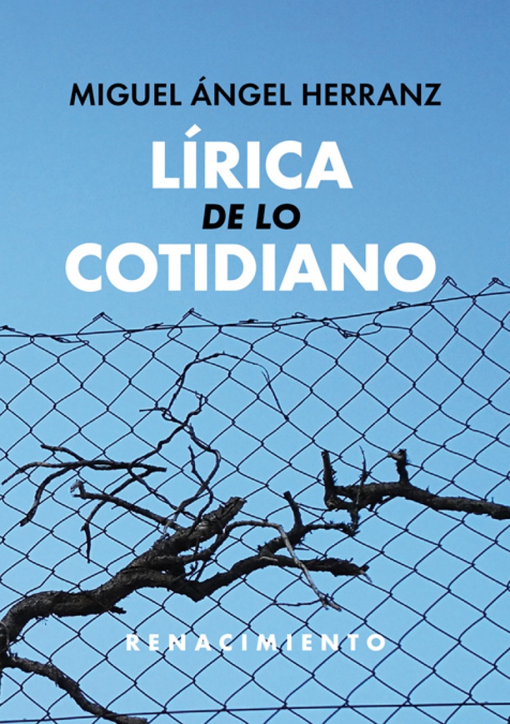 LÍRICA DE LO COTIDIANO