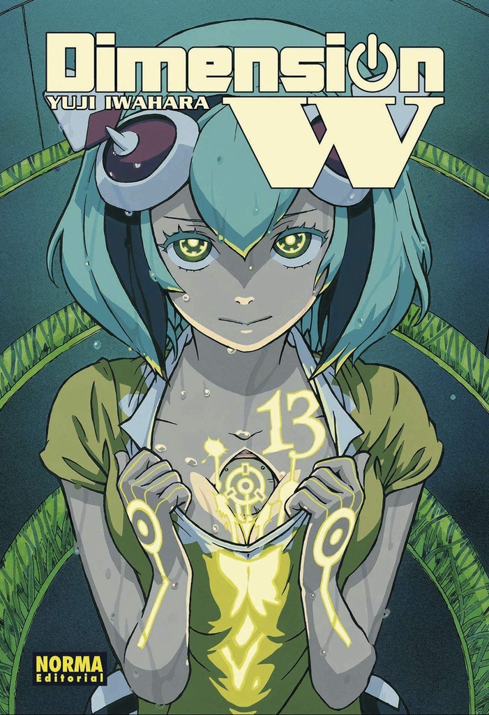 DIMENSION W