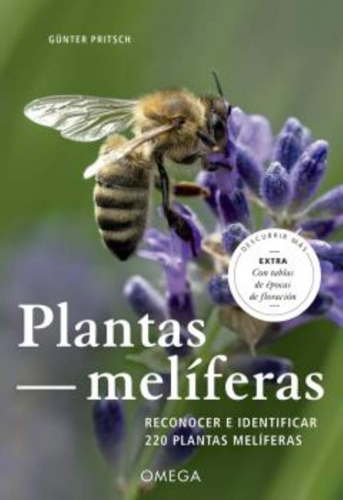 PLANTAS MELÍFERAS