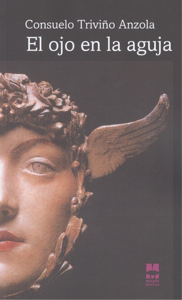 EL OJO EN LA AGUJA