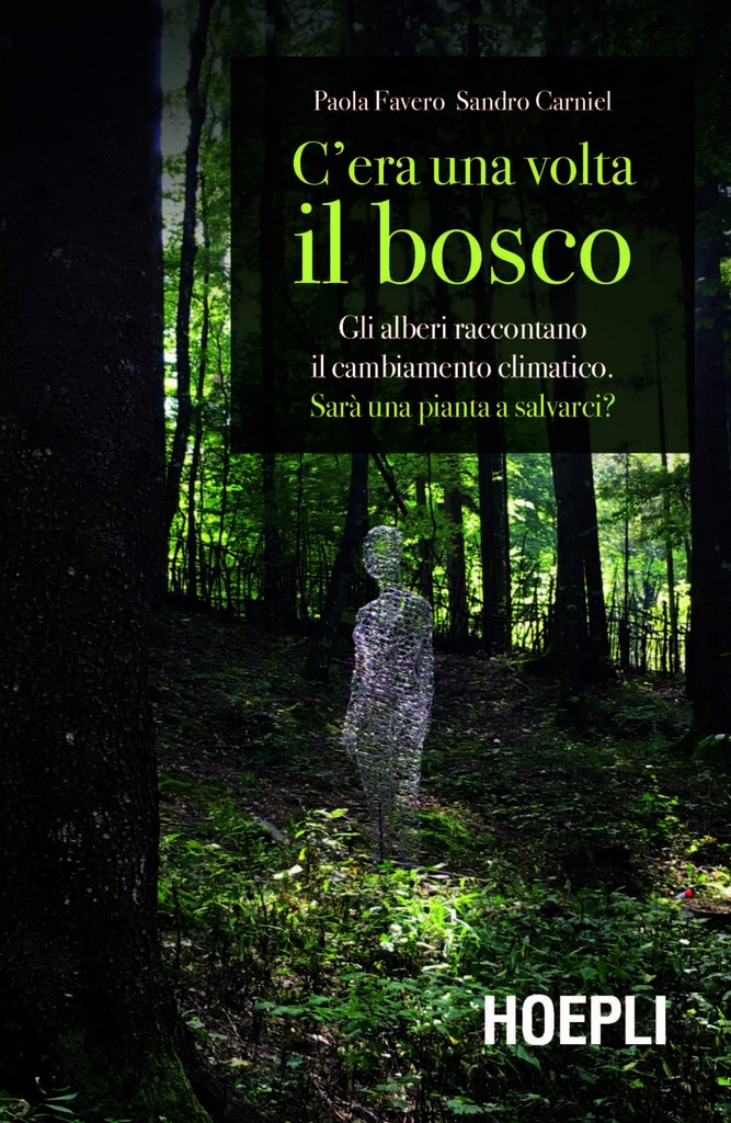 C´ERA UNA VOLTA IL BOSCO