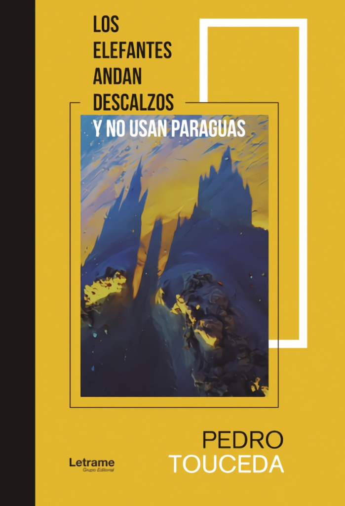 Los elefantes andan descalzos y no usan paraguas