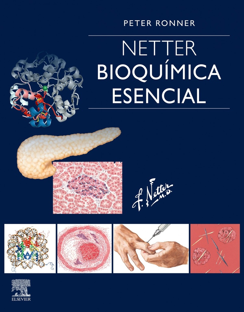 NETTER. BIOQUÍMICA ESENCIAL