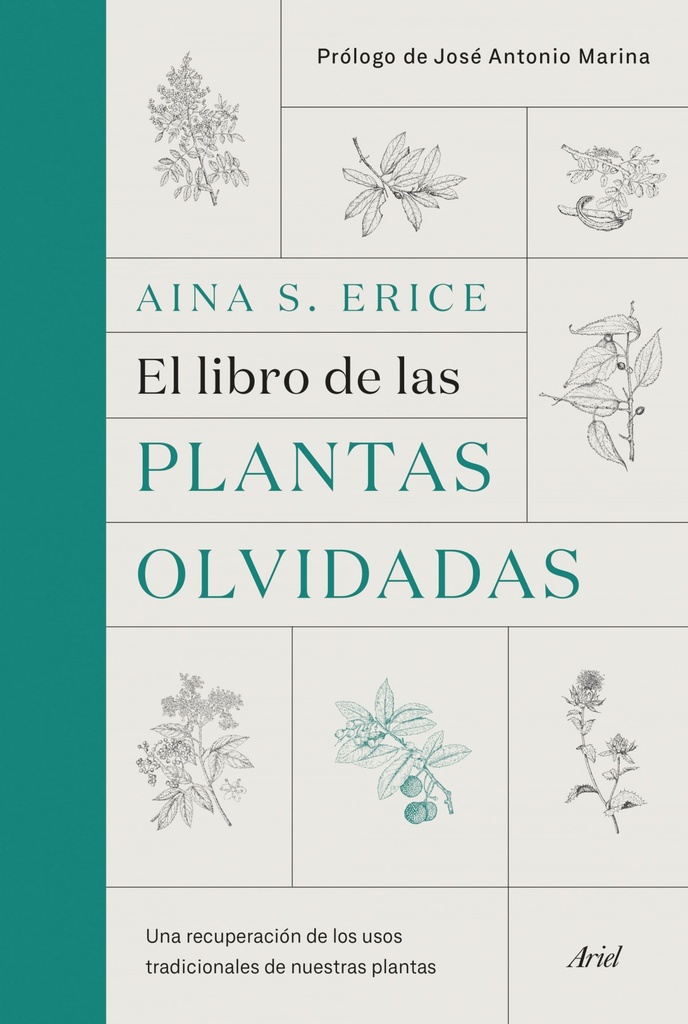 EL LIBRO DE LAS PLANTAS OLVIDADAS