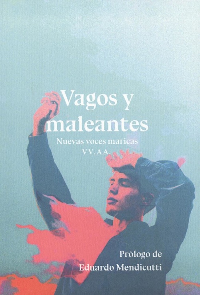VAGOS Y MALEANTES