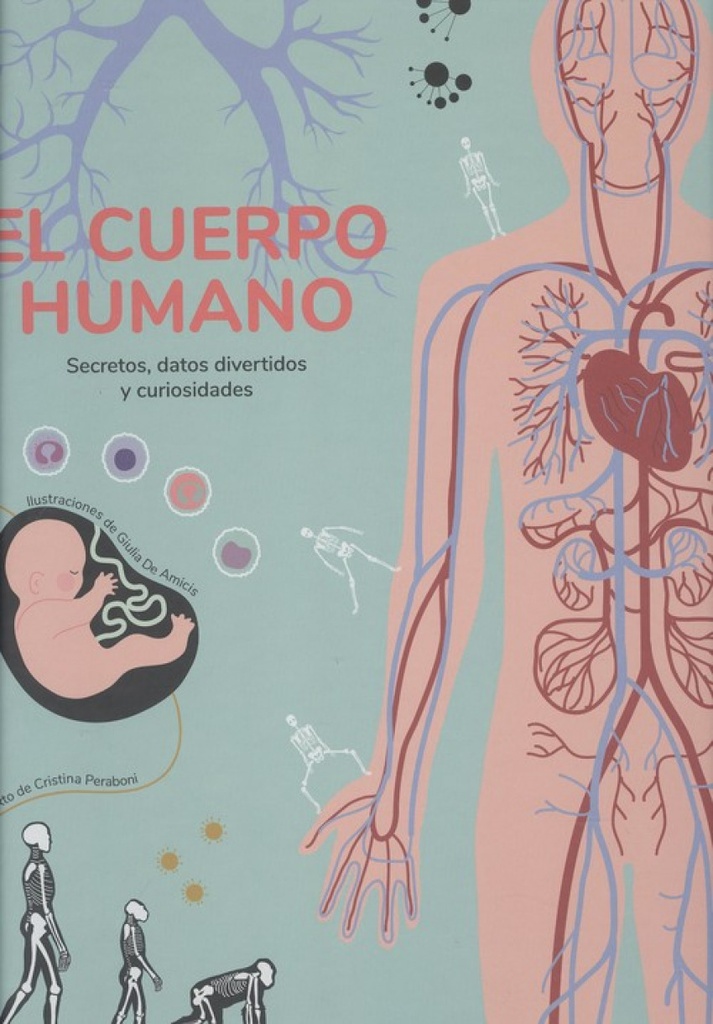 EL CUERPO HUMANO