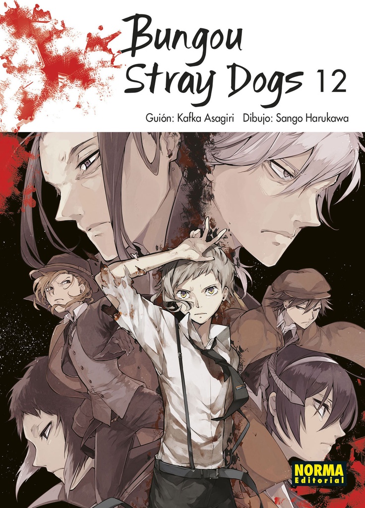 Bungou Stray Dogs 12