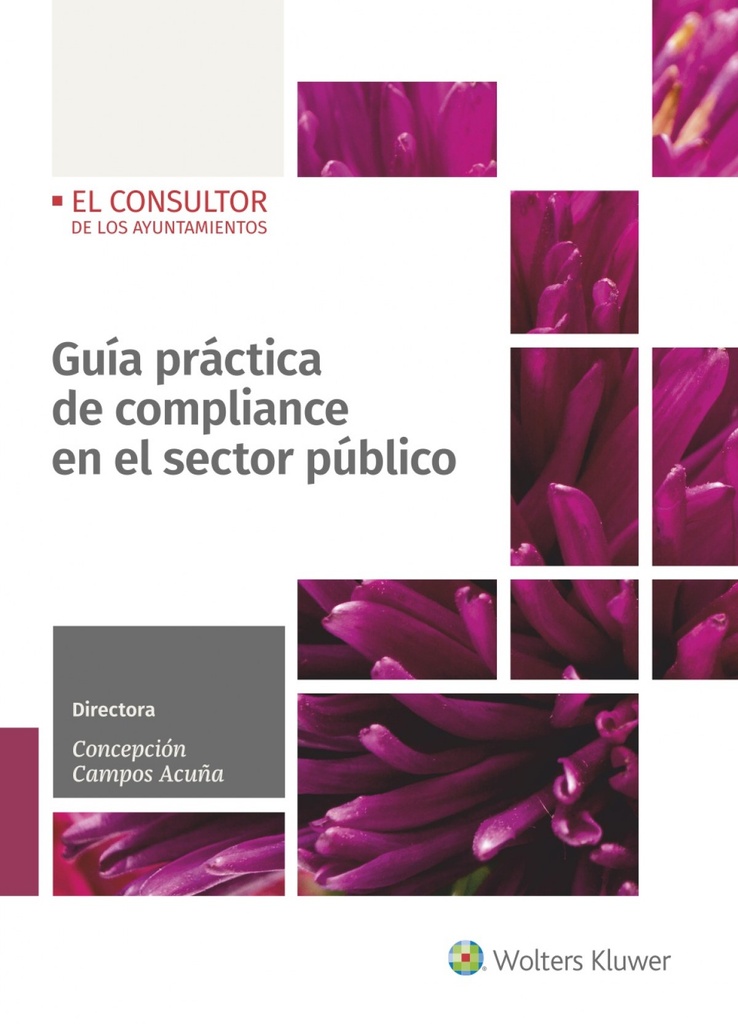 Guía práctica de compliance en el sector público