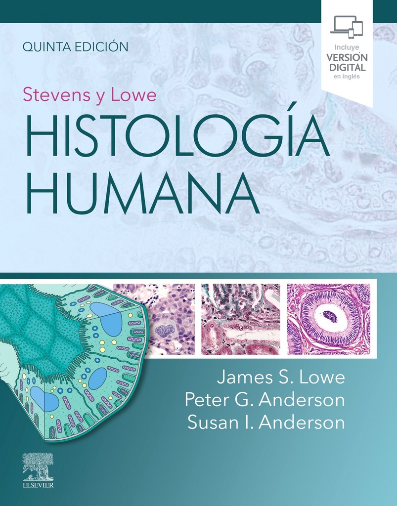 Stevens y Lowe. Histología humana (5ª ed.)