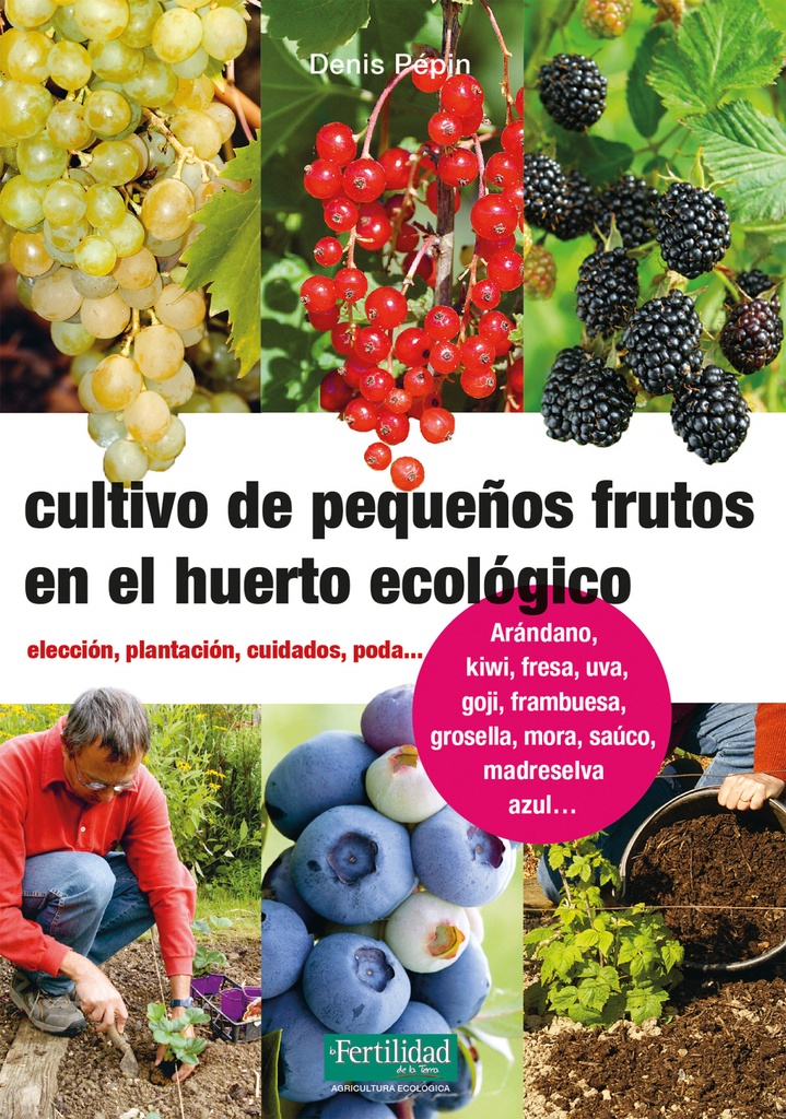 Cultivo de pequeños frutos en el huerto ecológico