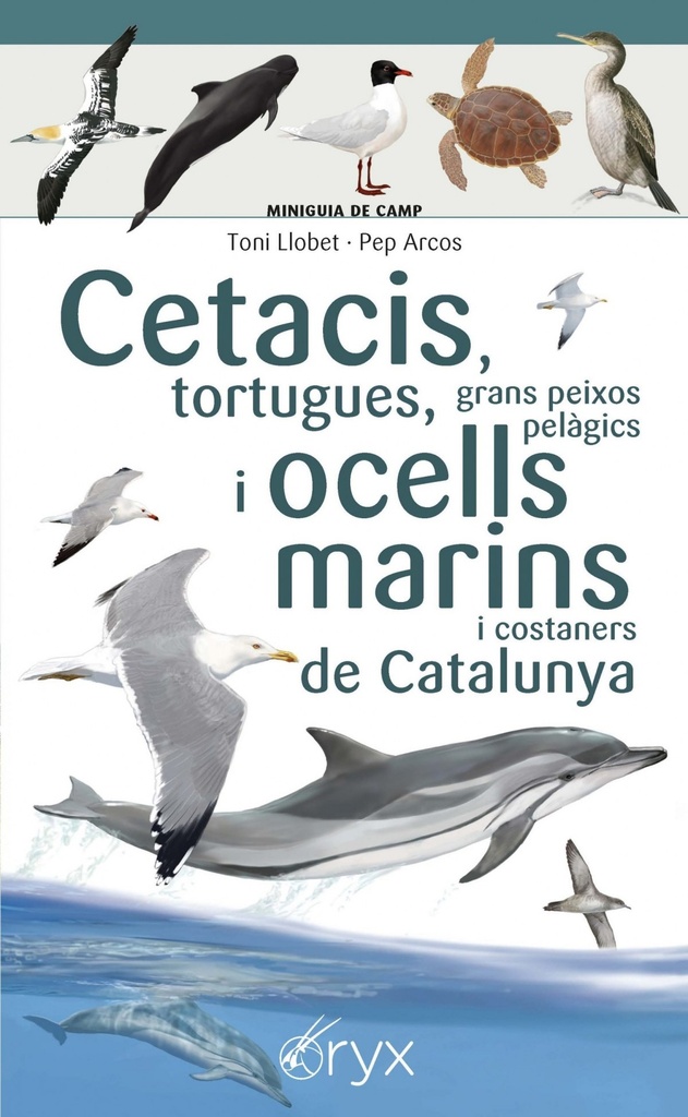 Cetacis, tortugues, grans peixos pelàgics i ocells marins de Catalunya