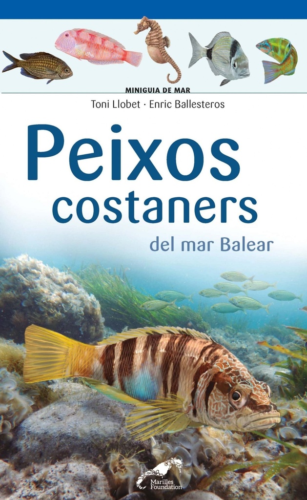 Peixos costaners del mar Balear