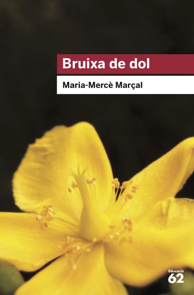 Bruixa de dol (1977-1979)