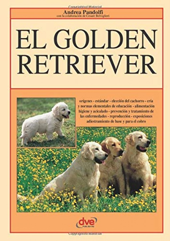 EL GOLDEN RETRIEVER