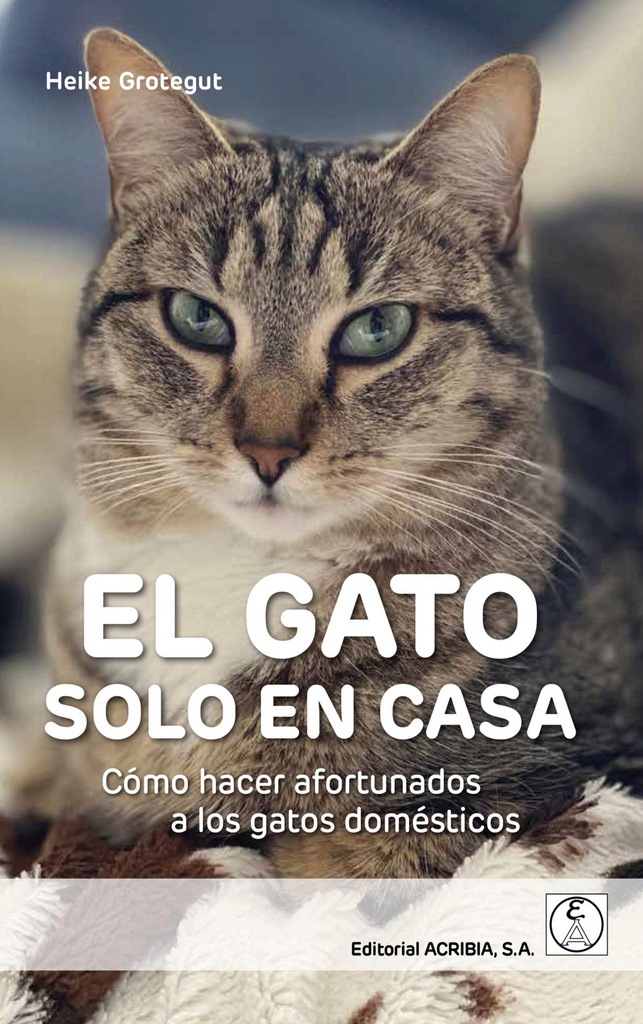 EL GATO SOLO EN CASA