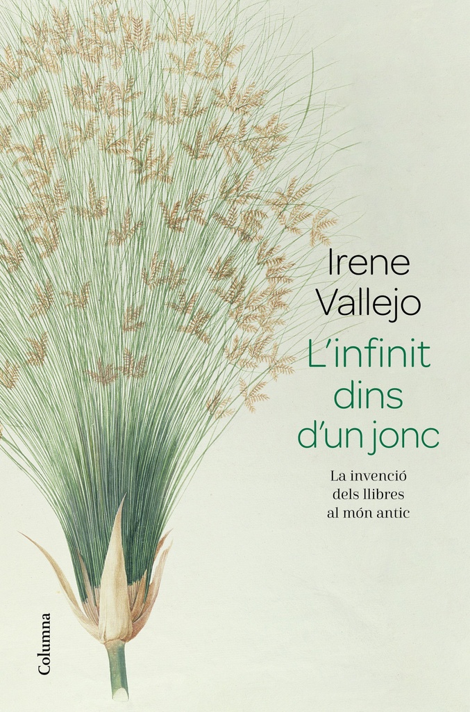 L´infinit dins d´un jonc