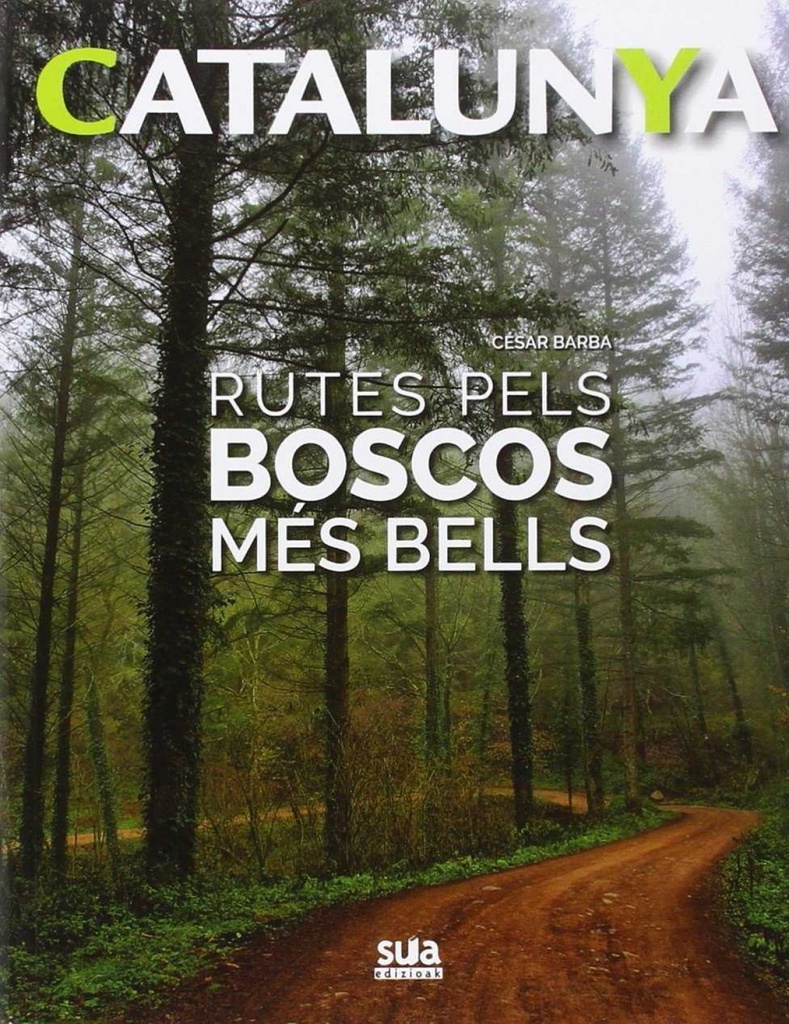 Rutes pels boscos més bells