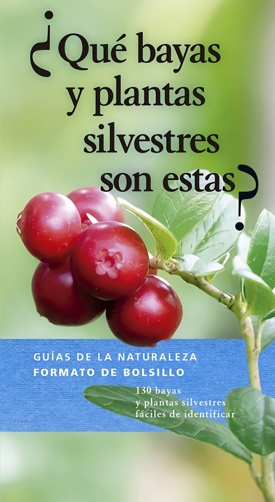 ¿QUÉ BAYAS Y PLANTAS SILVESTRES SON ESTAS?