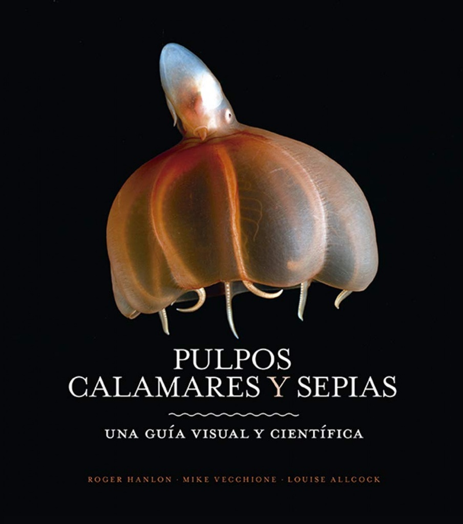 PULPOS, CALAMARES Y SEPIAS