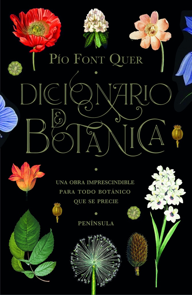 Diccionario de botánica