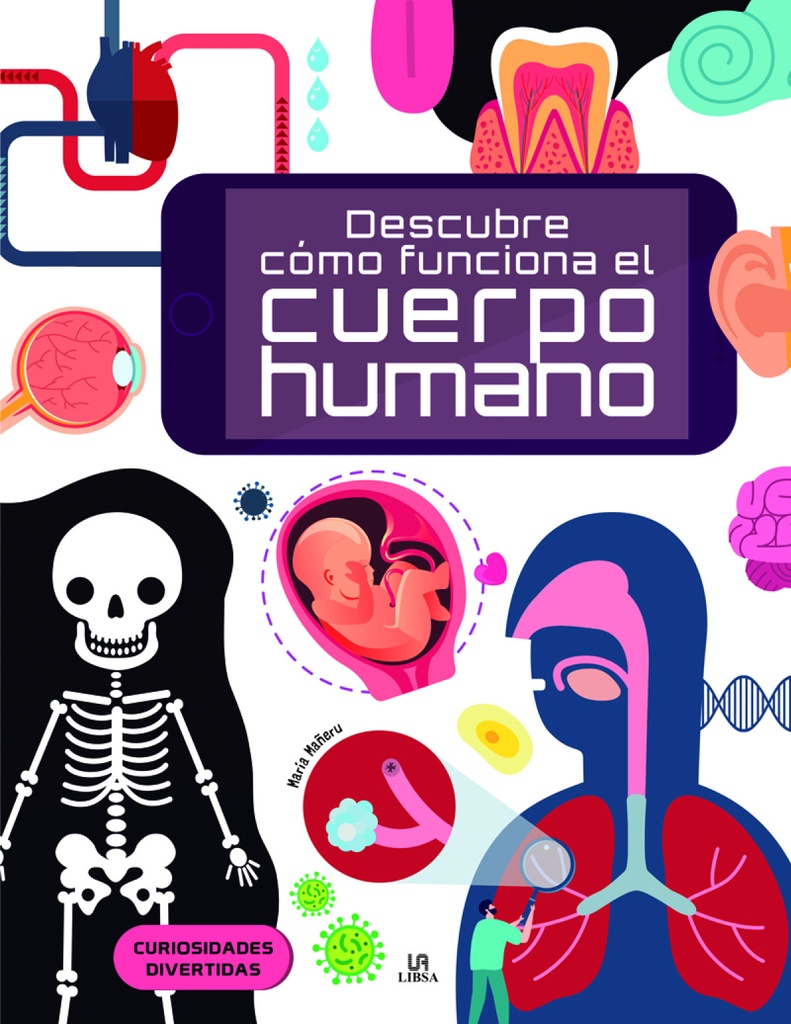 Descubre cómo Funciona el Cuerpo Humano