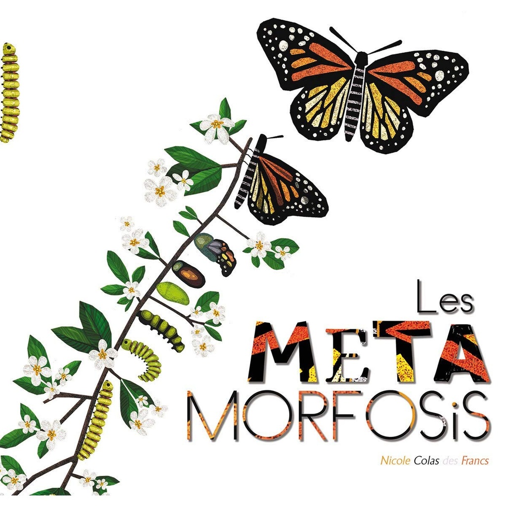 LES METAMORFOSIS