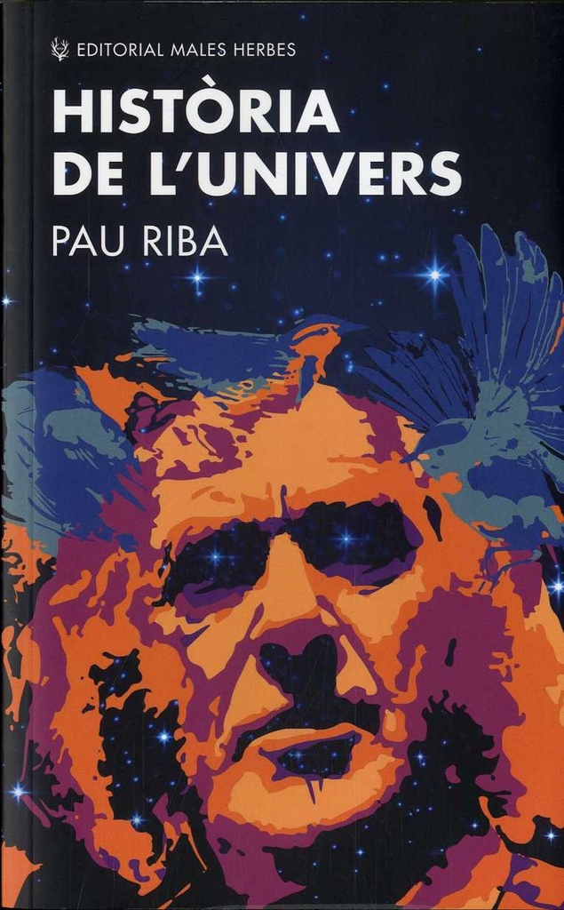 HISTÒRIA DE L´UNIVERS