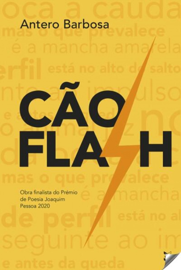 CÃO FLASH