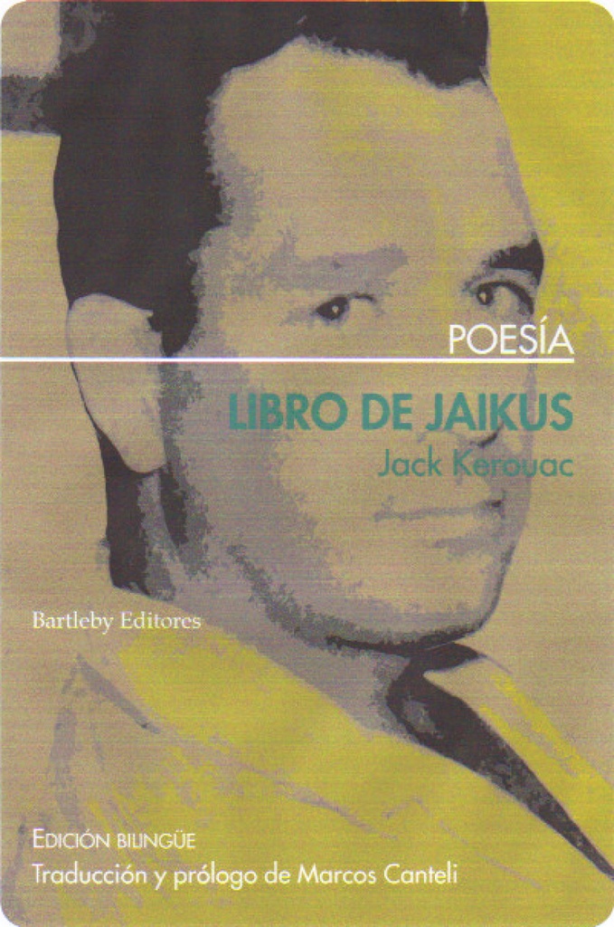 LIBRO DE JAIKUS