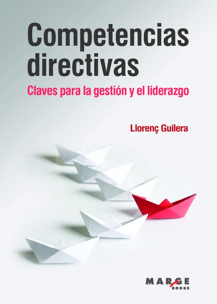 COMPETENCIAS DIRECTIVAS