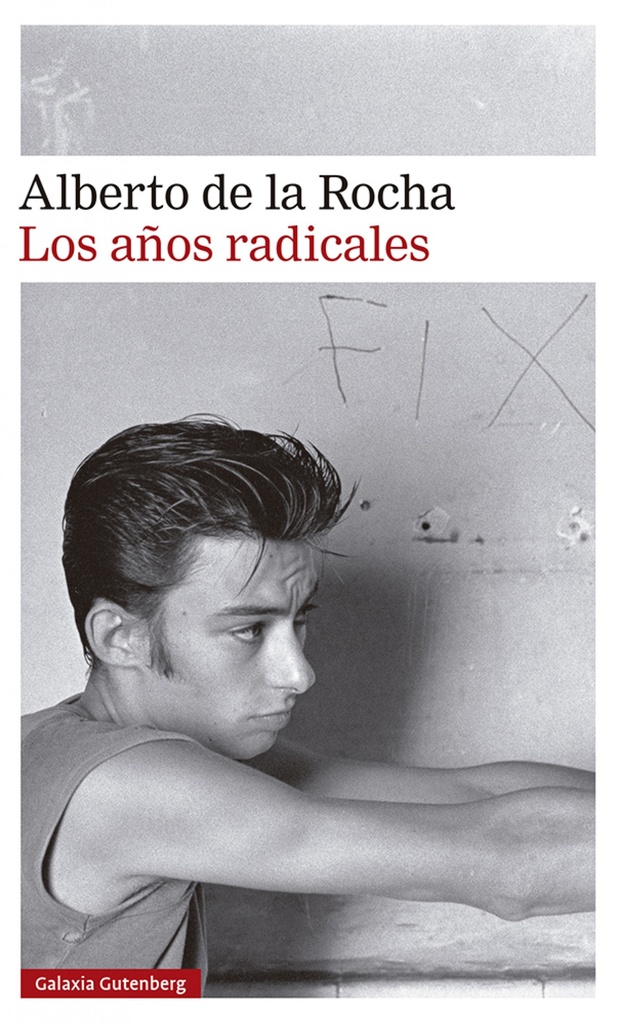 Los años radicales