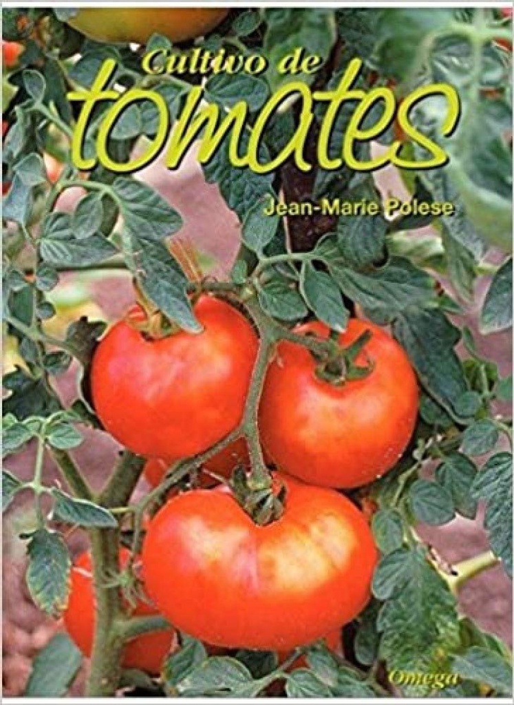 CULTIVO DE TOMATES