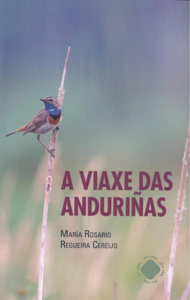 A VIAXE DAS ANDURIÑAS