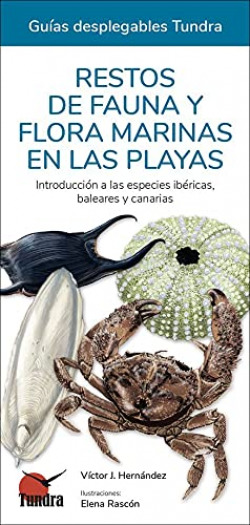 RESTOS DE FAUNA Y FLORA MARINAS EN LAS PLAYAS