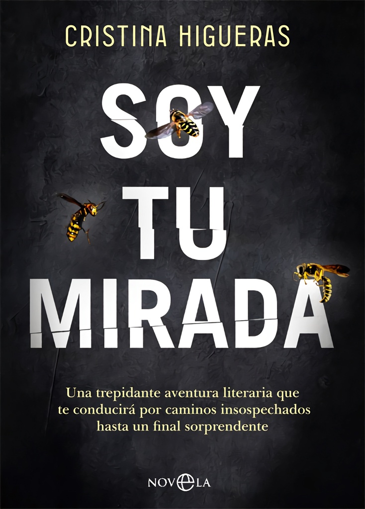 Soy tu mirada