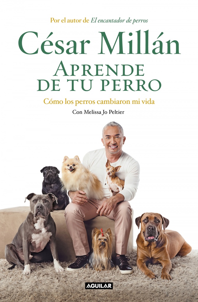 APRENDE DE TU PERRO