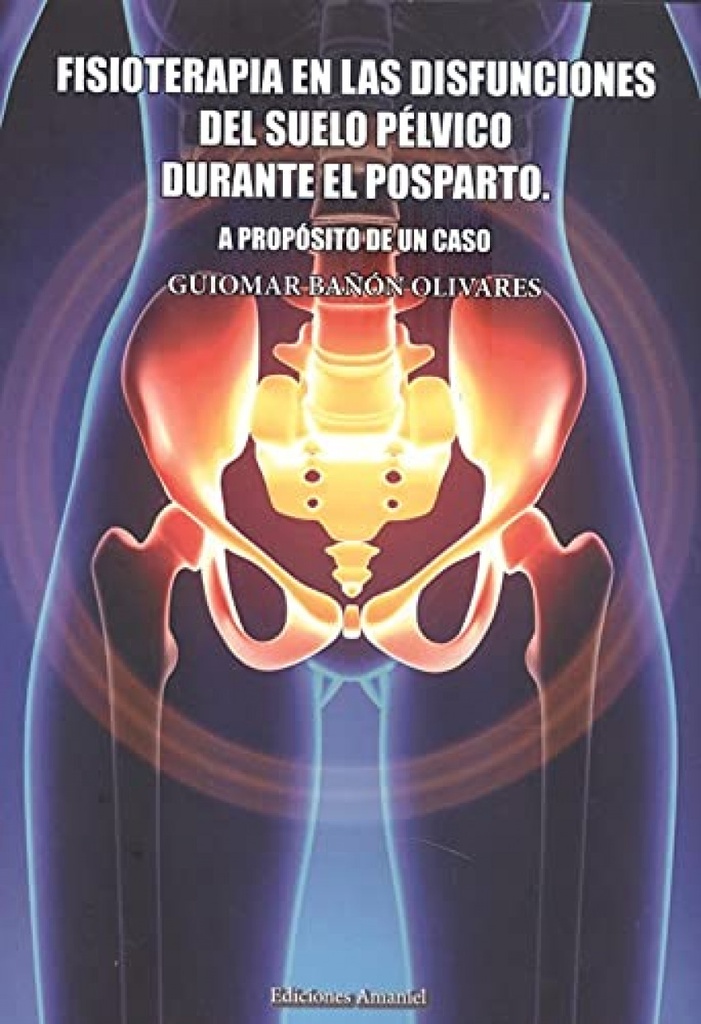 FISIOTERAPIA EN LAS DISFUNCIONES DEL SUELO PÉLVICO DURANTE E