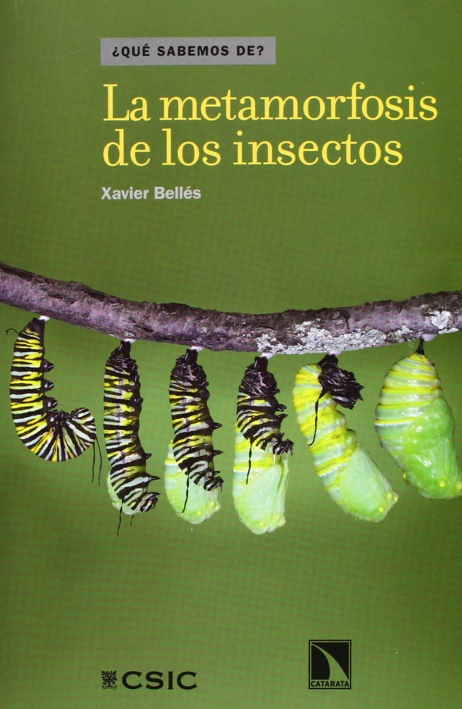 La metamorfosis de los insectos