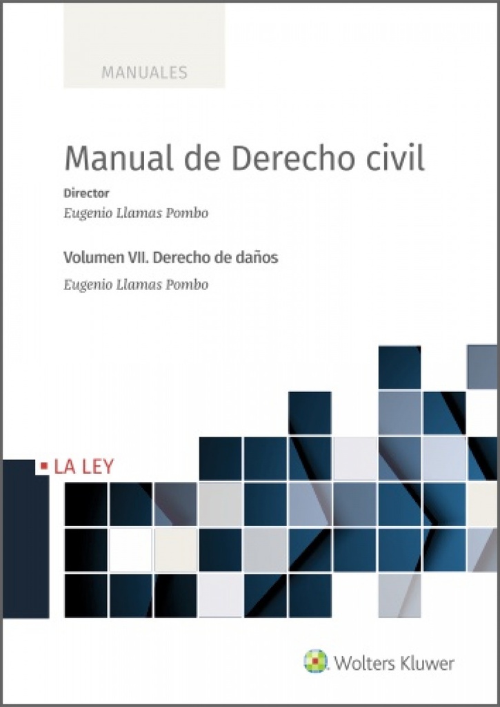 Manual de Derecho Civil